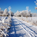 090109-wvdl-winter in HaDee  48 